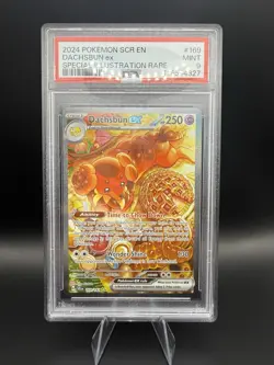 2024 Pokemon Stellar Crown Dachsbun EX 169/142 Special Illustration Rare PSA 9 - Image 1