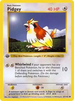 Pokemon TCG Pidgey Base Set 1st Edition (Shadowless Border) - Image 1