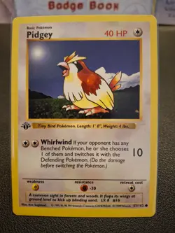 Pokemon TCG Pidgey Base Set 1st Edition (Shadowless Border) - Image 4