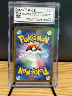 2022 Pokemon Sword & Shield Promos Mischievous Pichu 214/S-P Japanese CGC 10 - Image 2