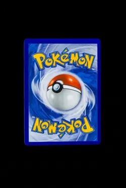 Surfing Beach Holo Ultra Rare ME04: Chaos Rising 114/086 NM - Image 2