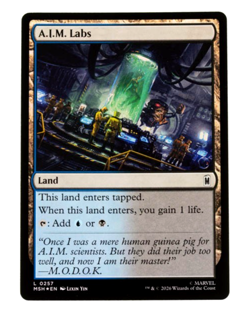 A.I.M. Labs Marvel Super Heroes 0257 MTG Foil Land NM - Image 1
