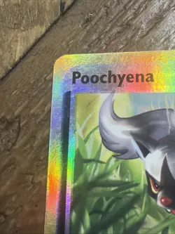 Pokemon TCG Poochyena 64/109 - EX Ruby & Sapphire Reverse Holo LP - Image 2