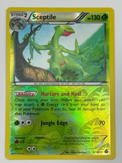 Sceptile 8/160 NM/M R Primal Clash Pokemon Reverse Holo - Image 1