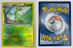 Sceptile 8/160 NM/M R Primal Clash Pokemon Reverse Holo - Image 3