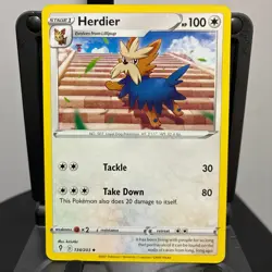 Herdier - 134/203 - Pokemon Evolving Skies 2021 - Uncommon Card NM - Image 1