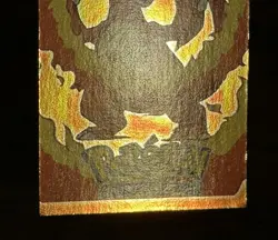 Charmeleon Holo E5/12 Pokemon Topps Blue Label LP - Image 3
