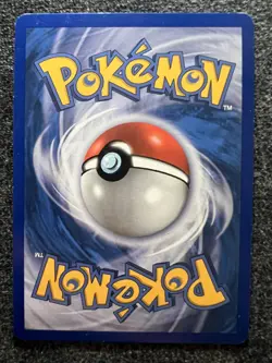 Raikou HGSS19 Black Star Promo Holo Pokemon Card NM - Image 2