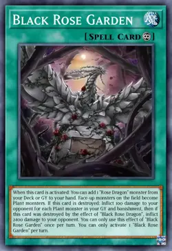 DOOD-EN055 Black Rose Garden Starlight Rare 1st Ed YuGiOh Preorder - Image 1