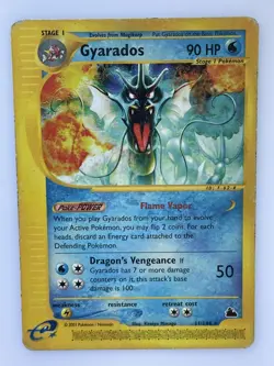 Gyarados 11/144 Skyridge Non-Holo Rare Heavily Played WOTC 2003 - Image 1