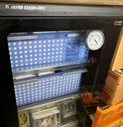 PSA 10 Fennekin Daichi Pan Promo 035/XY-P XY Pokemon Card Japanese 2015 Gem Mint - Image 3