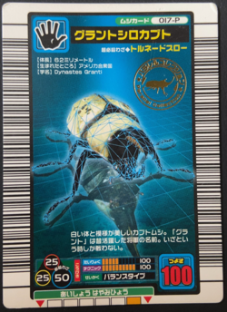 White Beetle Mushiking 017-P Mushi Card Sega Japanese 01 - Image 1