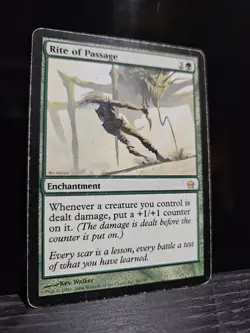 MTG Rite of Passage - Fifth Dawn - Heavily Played - Image 1