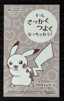Poncho-Wearing Pikachu Mega charizard X e Y Business Pokemon card Japanese - Image 5