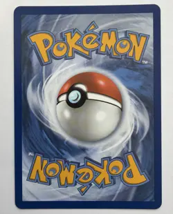 Pokemon TCG Cyndaquil 047 Black Star Promo First Partners Collection Series 2 NM - Image 2