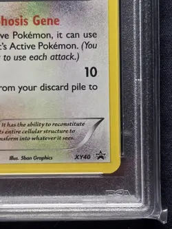 Pikachu Ditto XY40 Black Star Promo PSA 8 2015 Pokemon XY Card Swirl In Hand! - Image 5