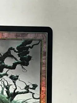 MTG Magic the Gathering 7th Edition Forest 331/350 FOIL Vintage 2001 Wizards - Image 4