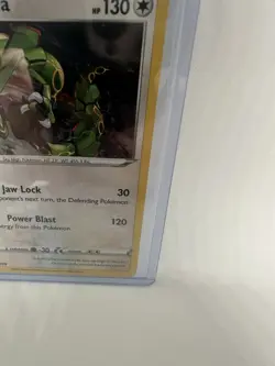 Rayquaza SWSH029 Holo Black Star Promo Card Near Mint Condition - Image 3