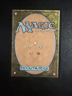 MTG - NM - BORDERLESS - Evendo, Waking Haven - Edge of Eternities - Image 2