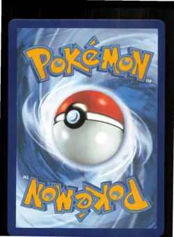 Torkoal V 024/202 Holo V Rare Sword & Shield Pokemon Holo Near Mint - Image 2