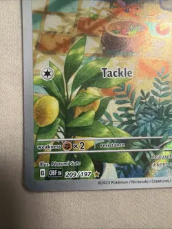 Pokemon Lechonk 209/197 SV03 Obsidian Flames Illustration Rare Full Art Holo - Image 5