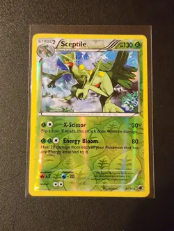 Sceptile Reverse Holo Rare Plasma Freeze 8/116 LP Excellent Pokemon Card - Image 1
