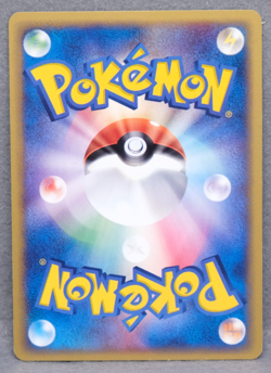 Poochyena 2003 Vintage 047/055 C Nintendo Gamefreak Pokemon Card Japanese F/S - Image 2