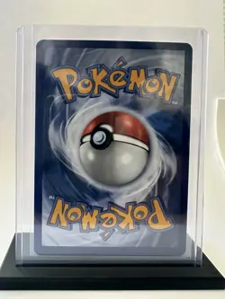Pokemon First Partner Illustration Series 2 - Johto Gen 2 Set - Image 4