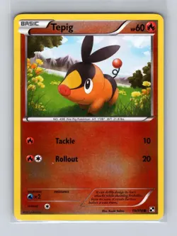 Tepig 15/114 Common Black & White Pokemon Reverse Holo Near Mint - Image 1