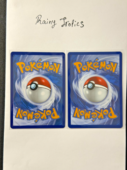 Pokemon Froakie 088/086 Frogadier 089/086 IR Evolution Set Chaos Rising NM - Image 2