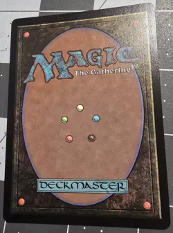 Finneas, Ace Archer (Borderless) (Raised Foil) Bloomburrow Foil Magic Gathering - Image 3