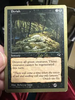 MTG Perish 1999 Jakub Slemr Sideboard LP - World Championship - Image 1