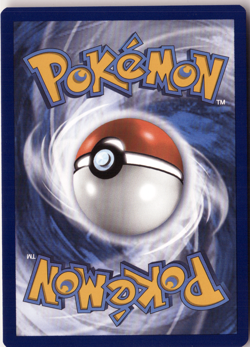 Morpeko SWSH: Sword & Shield Promo Cards SWSD SWSH116 Promo NM - Image 2