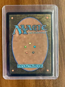 MTG The Banyan Tree Borderless Foil Mythic 0041 - Avatar the Last Airbender - Image 2