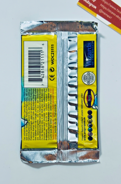 Pokemon German 1st Ed Base Set Pack - Artwork Blastoise Light (X1) - Image 2