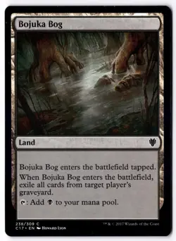 Bojuka Bog C17 238 Magic: The Gathering C NM - Image 1