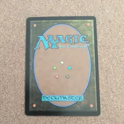 MTG Magic the Gathering Fetid Heath (176/187) Eventide LP - Image 2