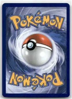 Lotad 005/094 Reverse Holo Phantasmal Flames Pokemon TCG - Image 2