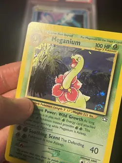 SWIRL NM Pokemon TCG Meganium Neo Genesis Holo First Edition 11/111 FART SWIRL - Image 3