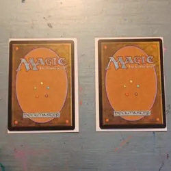 Misty Rainforest x2 Zendikar MTG Land Cards Regular Finish English 2009 - Image 3