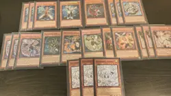 Yugioh Invoked Dracotail Deck - Image 2