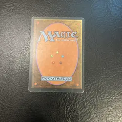 Shallow Grave Mirage Regular - Image 2