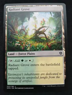 Radiant Grove - Dominaria United - NM - EN - 253 - Image 1