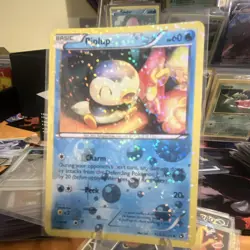 Pokemon TCG Piplup RC6/RC25 Radiant Collection Holo 60 HP English nm++ - Image 1