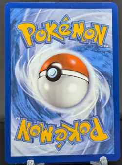 Pokemon Squirtle #048 English SVP Black Star Promo Cosmos Holo - Image 2