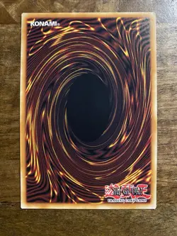 Yu-Gi-Oh! Evoltile Megachirella CHIM-EN020 - 1st Edition - Common - Near Mint! - Image 2