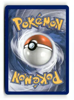 Mudkip Holo Promo McDonald's 25th Anniversary Promos 019/025 Pokemon HP - Image 2