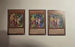YuGiOh! Dark Magician Girl the Magician's Apprentice x3 & Shining Sarcophagus x3 - Image 2
