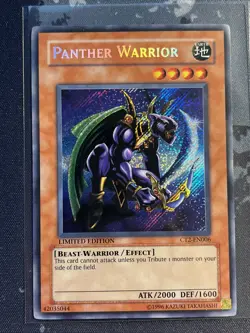 Panther Warrior CT2-EN006 2005 Collectors Tin Limited Edition - Image 1