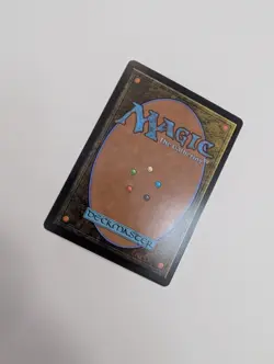 MTG - Forest (0511) (First-Place Foil) - Aetherdrift NM/M Condition - Image 3